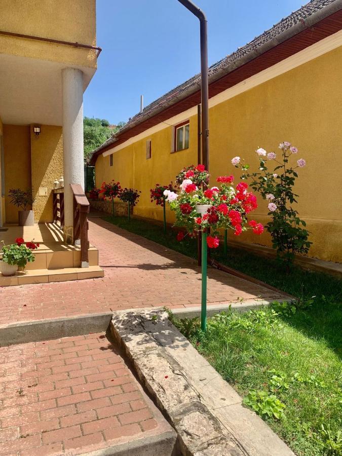 Casa Ramona Apartment ทูร์ดา ภายนอก รูปภาพ